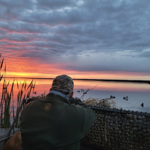 A man hunting ducks in the spring, looking out over the water at sunrise.