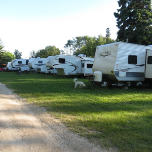 row of R.V.s at the campground