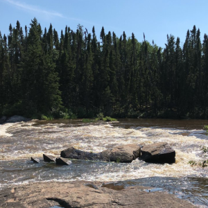 Flowing rapids along the Grass River