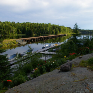 Looking out over the docks in summer with the green of the forest along the lake